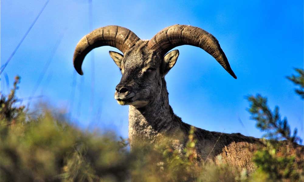 Essential Equipment for Filming in Nepal’s Diverse Landscapes