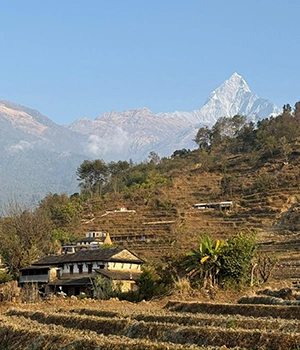 Pokhara