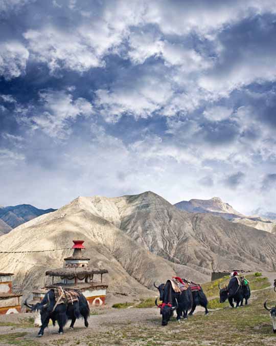 Dolpa Region