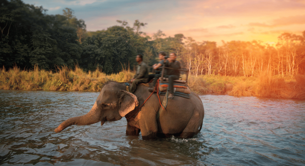 Chitwan