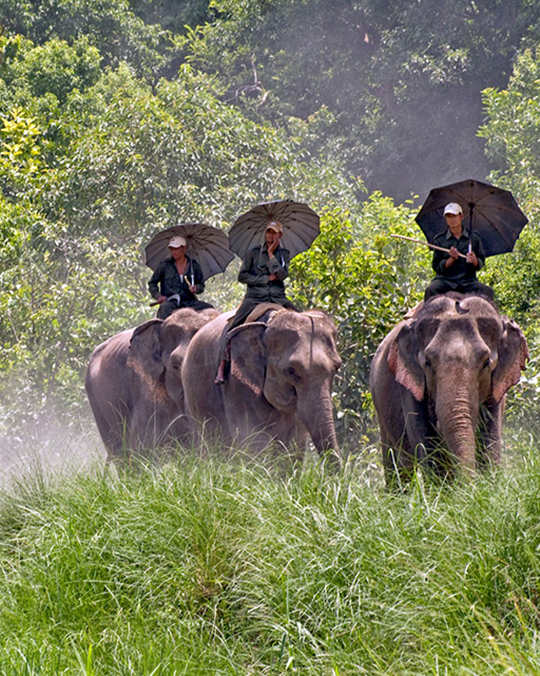 Bardia National Park