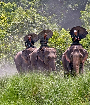 Bardia National Park